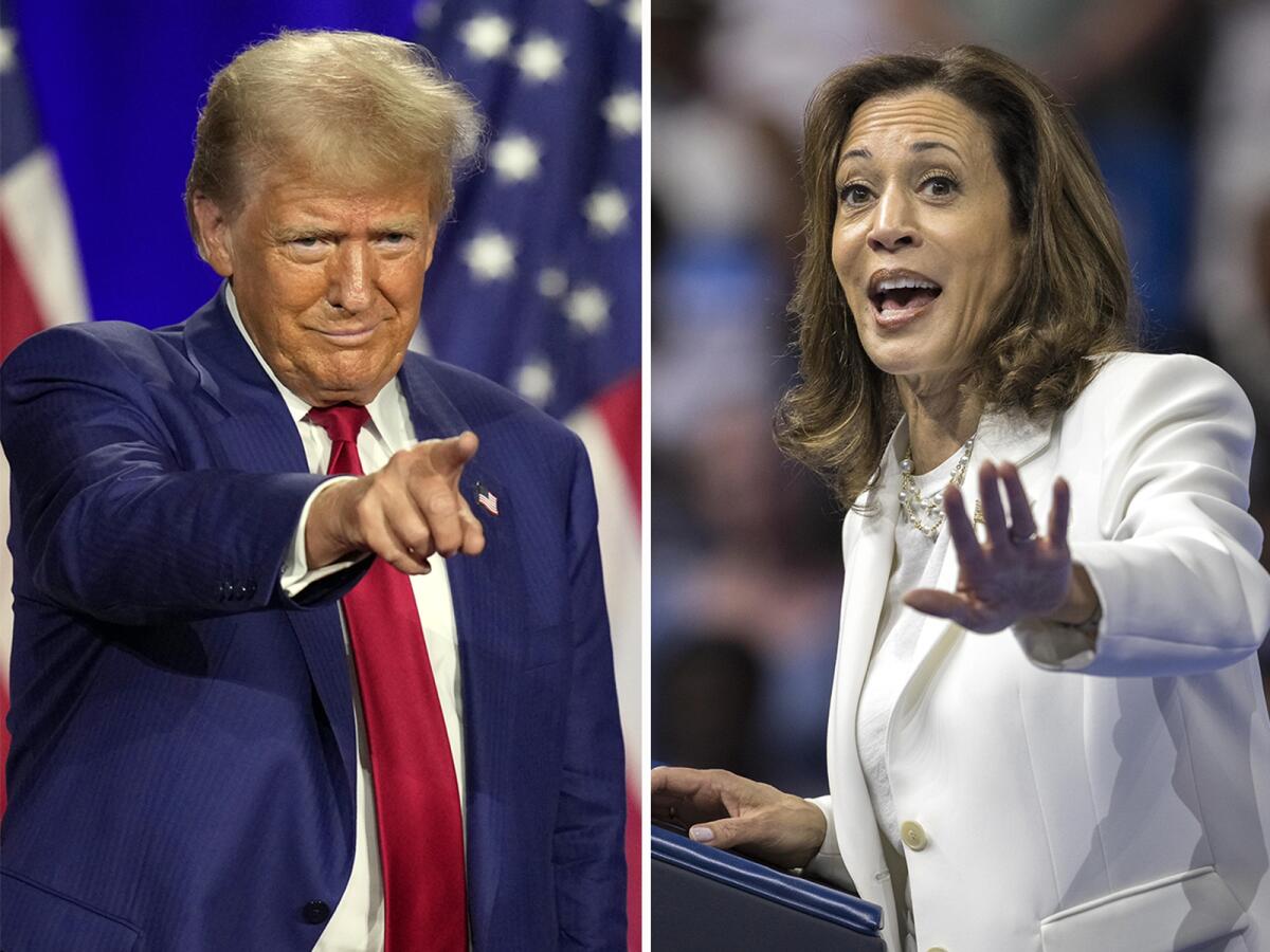 Présidentielle américaine : Harris et Trump, deux trajectoires opposées